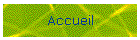 Accueil